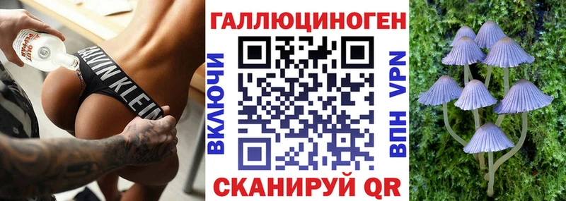 ссылка на мегу маркетплейс  наркотики  Солигалич  Псилоцибиновые грибы мухоморы 